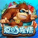 Www.yaxin322.com